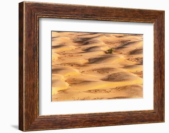 Dubai UAE - Sunset Sand Dunes-Philippe HUGONNARD-Framed Photographic Print