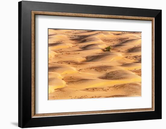 Dubai UAE - Sunset Sand Dunes-Philippe HUGONNARD-Framed Photographic Print