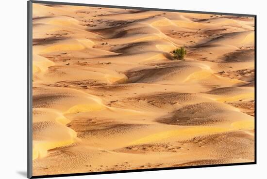 Dubai UAE - Sunset Sand Dunes-Philippe HUGONNARD-Mounted Photographic Print