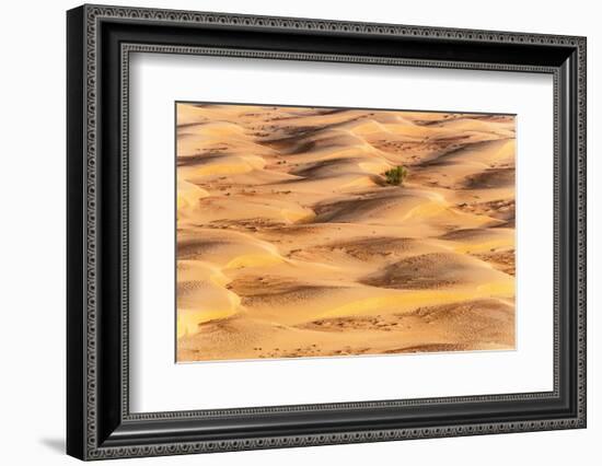 Dubai UAE - Sunset Sand Dunes-Philippe HUGONNARD-Framed Photographic Print