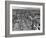 Dublin 1950S-null-Framed Photographic Print