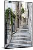 Dubrovnik Old Town, One of the Narrow Side Streets, Dubrovnik, Croatia, Europe-Matthew Williams-Ellis-Mounted Photographic Print