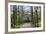 Ducal Vault (Fuerstengruft), Holding Graves of Goethe, Schiller and Ducal Family-Stuart Forster-Framed Photographic Print