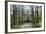 Ducal Vault (Fuerstengruft), Holding Graves of Goethe, Schiller and Ducal Family-Stuart Forster-Framed Photographic Print