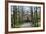 Ducal Vault (Fuerstengruft), Holding Graves of Goethe, Schiller and Ducal Family-Stuart Forster-Framed Photographic Print