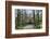 Ducal Vault (Fuerstengruft), Holding Graves of Goethe, Schiller and Ducal Family-Stuart Forster-Framed Photographic Print