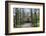 Ducal Vault (Fuerstengruft), Holding Graves of Goethe, Schiller and Ducal Family-Stuart Forster-Framed Photographic Print