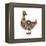 Duck Abstract Circles-Ron Magnes-Framed Premier Image Canvas