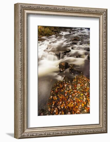 Duck Brook in Fall in Maine's Acadia National Park-Jerry & Marcy Monkman-Framed Photographic Print