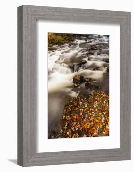 Duck Brook in Fall in Maine's Acadia National Park-Jerry & Marcy Monkman-Framed Photographic Print