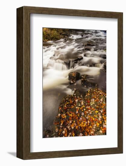 Duck Brook in Fall in Maine's Acadia National Park-Jerry & Marcy Monkman-Framed Photographic Print