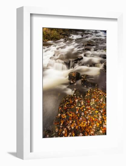 Duck Brook in Fall in Maine's Acadia National Park-Jerry & Marcy Monkman-Framed Photographic Print