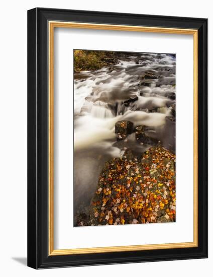 Duck Brook in Fall in Maine's Acadia National Park-Jerry & Marcy Monkman-Framed Photographic Print