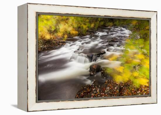 Duck Brook in Fall in Maine's Acadia National Park-Jerry & Marcy Monkman-Framed Premier Image Canvas