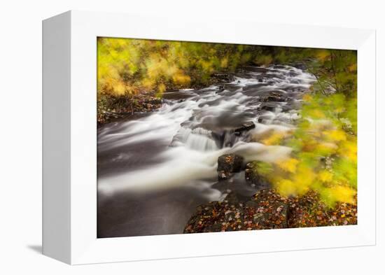 Duck Brook in Fall in Maine's Acadia National Park-Jerry & Marcy Monkman-Framed Premier Image Canvas