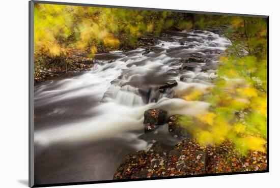 Duck Brook in Fall in Maine's Acadia National Park-Jerry & Marcy Monkman-Mounted Photographic Print