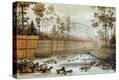 Stretched Canvas Print