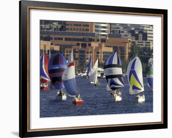 Duck Dodge Sailboat Race, Lake Union, Seattle, Washington, USA-William Sutton-Framed Photographic Print