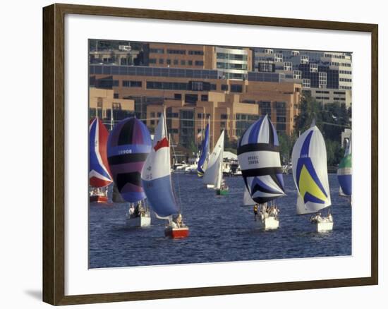 Duck Dodge Sailboat Race, Lake Union, Seattle, Washington, USA-William Sutton-Framed Photographic Print