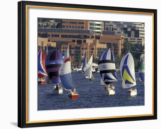 Duck Dodge Sailboat Race, Lake Union, Seattle, Washington, USA-William Sutton-Framed Photographic Print