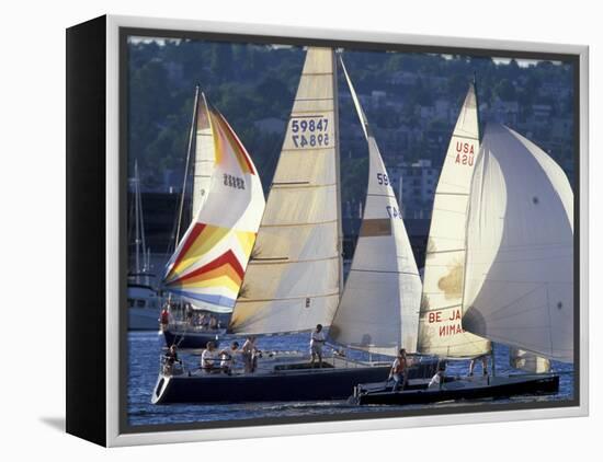 Duck Dodge Sailboat Race, Lake Union, Seattle, Washington, USA-William Sutton-Framed Premier Image Canvas