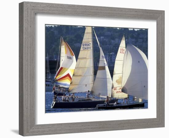 Duck Dodge Sailboat Race, Lake Union, Seattle, Washington, USA-William Sutton-Framed Photographic Print