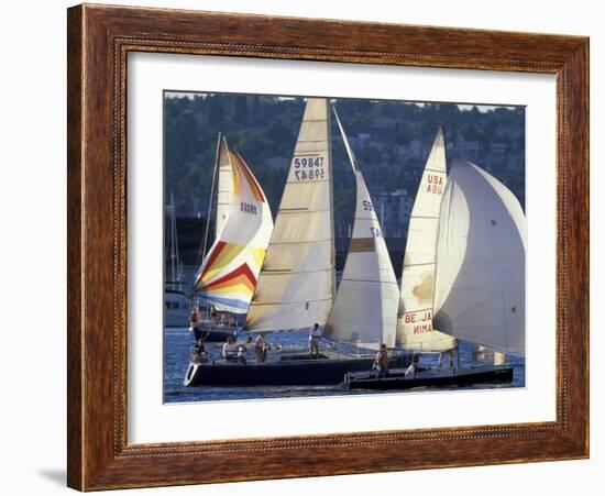 Duck Dodge Sailboat Race, Lake Union, Seattle, Washington, USA-William Sutton-Framed Photographic Print