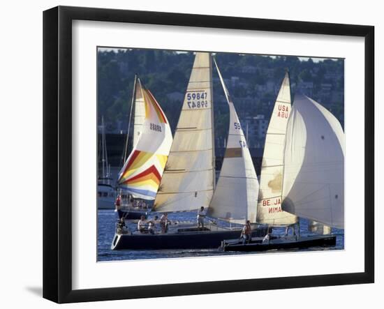 Duck Dodge Sailboat Race, Lake Union, Seattle, Washington, USA-William Sutton-Framed Photographic Print