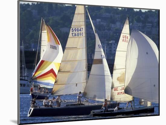 Duck Dodge Sailboat Race, Lake Union, Seattle, Washington, USA-William Sutton-Mounted Photographic Print