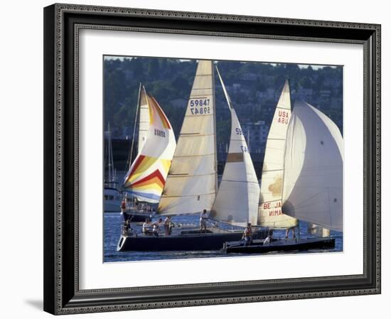 Duck Dodge Sailboat Race, Lake Union, Seattle, Washington, USA-William Sutton-Framed Photographic Print