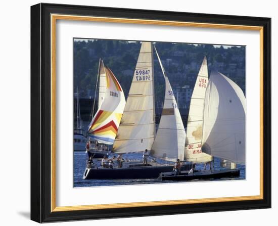 Duck Dodge Sailboat Race, Lake Union, Seattle, Washington, USA-William Sutton-Framed Photographic Print