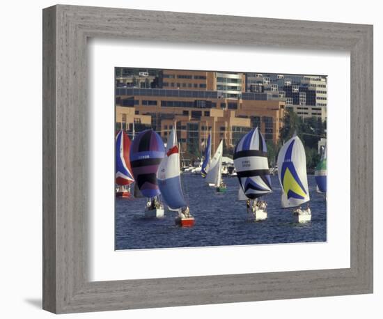 Duck Dodge Sailboat Race, Lake Union, Seattle, Washington, USA-William Sutton-Framed Photographic Print