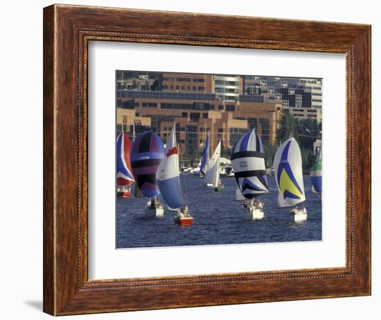 Duck Dodge Sailboat Race, Lake Union, Seattle, Washington, USA-William Sutton-Framed Photographic Print