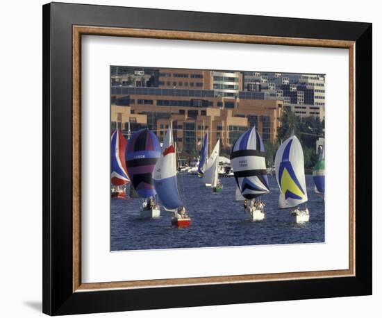 Duck Dodge Sailboat Race, Lake Union, Seattle, Washington, USA-William Sutton-Framed Photographic Print