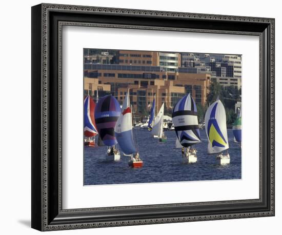 Duck Dodge Sailboat Race, Lake Union, Seattle, Washington, USA-William Sutton-Framed Photographic Print