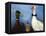 Duck Duck Goose-Leah Saulnier-Framed Premier Image Canvas