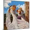 Duck Face-Lucia Heffernan-Mounted Art Print