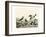 Duck Family II-A Wilson-Framed Art Print