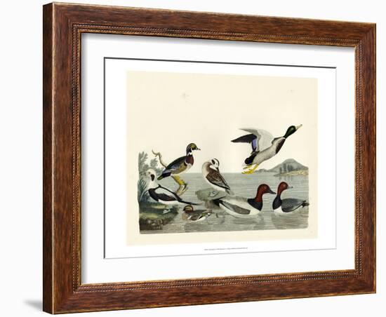 Duck Family II-A Wilson-Framed Art Print