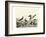 Duck Family II-A Wilson-Framed Art Print