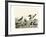 Duck Family II-A Wilson-Framed Art Print