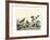 Duck Family II-A Wilson-Framed Art Print