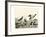 Duck Family II-A Wilson-Framed Art Print