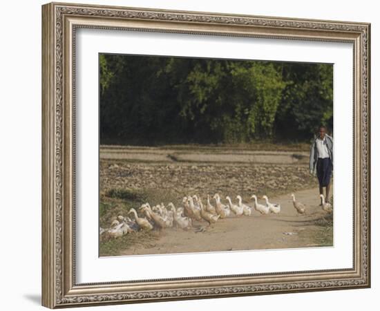 Duck Farmer Crossing Road with Ducks Near Wan Sai Village, Kengtung, Shan State-Jane Sweeney-Framed Photographic Print