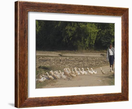 Duck Farmer Crossing Road with Ducks Near Wan Sai Village, Kengtung, Shan State-Jane Sweeney-Framed Photographic Print