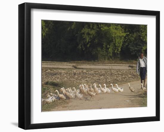 Duck Farmer Crossing Road with Ducks Near Wan Sai Village, Kengtung, Shan State-Jane Sweeney-Framed Photographic Print