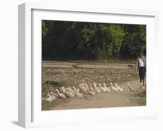 Duck Farmer Crossing Road with Ducks Near Wan Sai Village, Kengtung, Shan State-Jane Sweeney-Framed Photographic Print