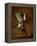 Duck, Hung on a Wall, and a Seville Orange-Jean-Baptiste Simeon Chardin-Framed Premier Image Canvas