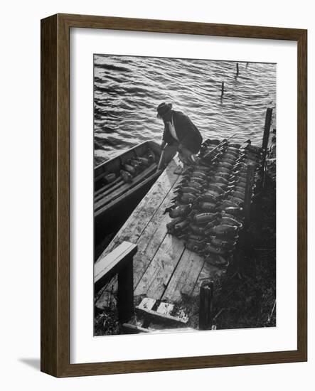 Duck Hunter Frank Freudenberg Loading Decoys for Ducks at Dawn-null-Framed Photographic Print