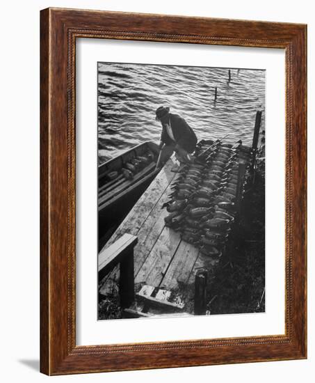 Duck Hunter Frank Freudenberg Loading Decoys for Ducks at Dawn-null-Framed Photographic Print